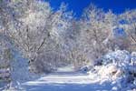 картинки зимние пейзажи красивые